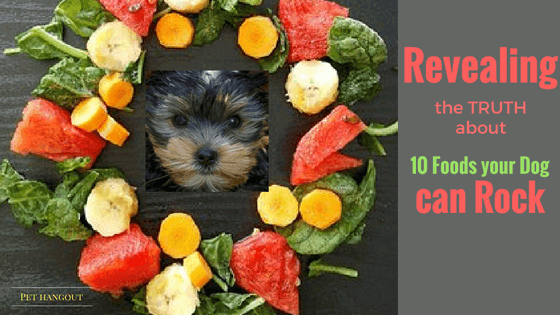 Headline pic for Blog on 10 Foods your dog can rock